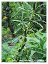 Image result for 깱깲깳깴깵깶깷깺깾깿꺀꺁꺂꺃꺆꺇꺈꺉꺊꺋꺍꺎꺏꺐