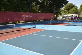 Image result for 1st New Forest Pickleball Club
