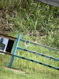 Image result for Wyke Manor Rifle Club