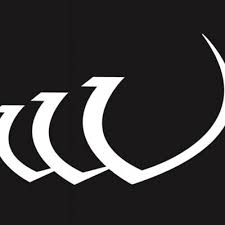 Image result for Widnes Vikings