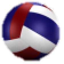 Image result for Goole Ladies Netball Club