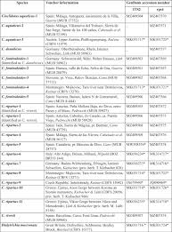 Attēlu rezultāti vaicājumam “Cinclidotus danubicus cells”