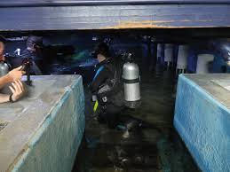 Image result for Cleveland Divers