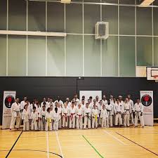 Image result for Harpenden JKA Karate Club