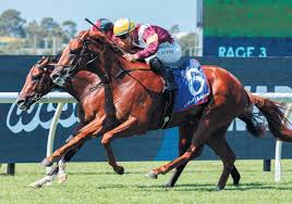 Image result for Bletchingly Badminton Club