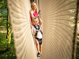 Image result for Go Ape! Thetford