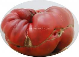 Afbeeldingsresultaat voor black elephant tomato