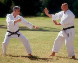 Image result for yonju dojo