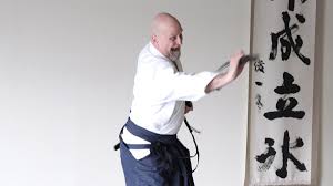 Image result for Ellis Schools of Traditional Aikido