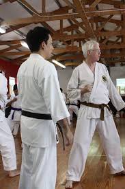 Image result for Everitt Karate Academy