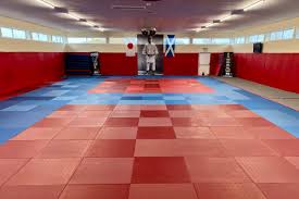 Image result for Kilmarnock Judo Club