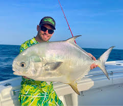 Image result for Trachinotus falcatus