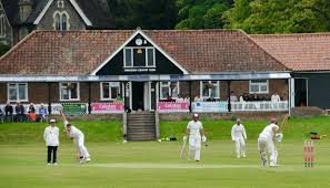 Image result for Hadleigh Cricket Club