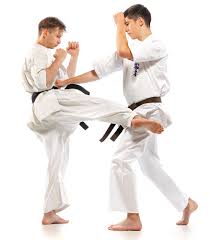 Image result for Llantrisant Tkd