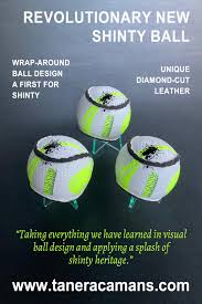 Image result for World of Shinty