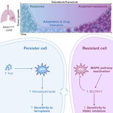 Image result for backmodel terzi
