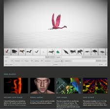 Image result for webgl examples