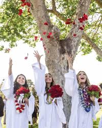 Image result for Crowtorne Shotokai