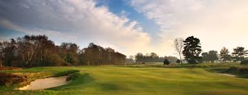 Image result for Hankley Common Golf Club