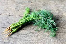 Image result for Dill