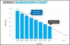 Image result for burnup chart