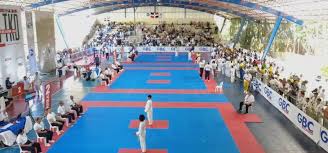 Image result for Utf Jaguar Tkd
