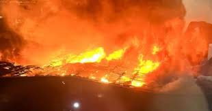 Image result for Leicester City Tornadoes