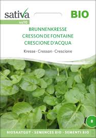 Image result for Brunnenkresse