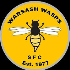 Image result for Wasps Football Club