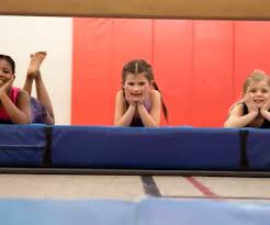 Image result for Lincoln Gymnastics Club