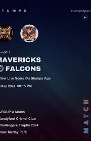 Image result for Sandyford Cricket Club