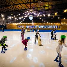 Image result for Milton Keynes Ice Skating Club