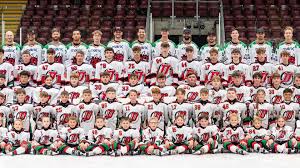 Image result for Cardiff Devils