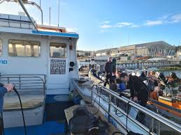 Image result for Worcester Divers Octopush Club