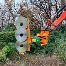 Image result for coupeco tehron