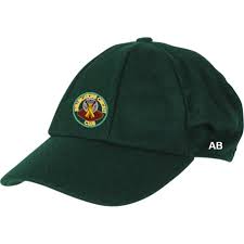 Image result for Shillingstone Cricket Club