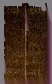 Attēlu rezultāti vaicājumam “Retinia resinella pupa”