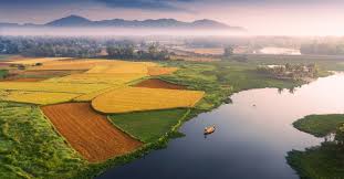 Kết quả hình ảnh cho hinh anh