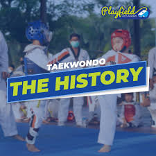 Image result for Parkgate Taekwondo Club