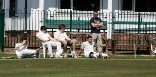 Image result for Elworth Cricket Club
