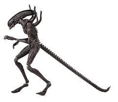 Image result for xenomorph