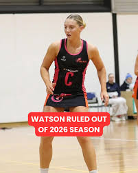 Image result for Blaze Netball Club