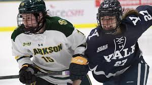 Image result for Frome Ladies Hockey Club