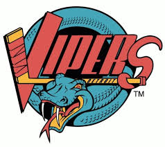 Image result for Vipers Roller Hockey Team