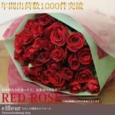 「花薔薇エルフ」の画像検索結果