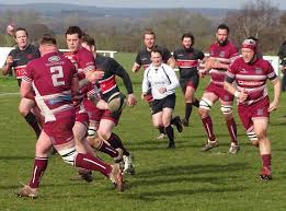 Image result for Newport (Salop) Rugby Union Football Club