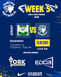 Image result for Hamilton Panthers Association Football Club