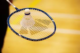 Image result for Halsteads Badminton Club