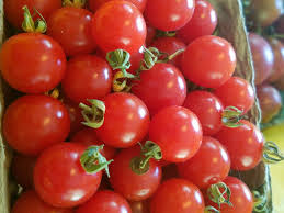 Afbeeldingsresultaat voor cabin tomato