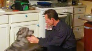 Image result for apupy